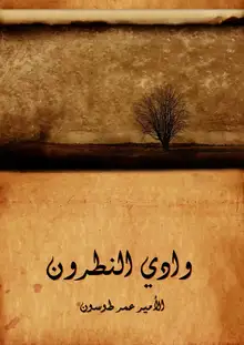 غلاف وادي النطرون