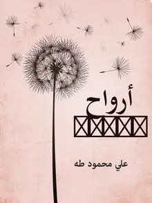 غلاف أرواح شاردة
